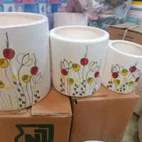 گلدان تکی و عمده|گل و گیاه طبیعی|آستانه اشرفیه, |دیوار