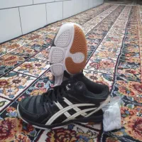 کفش|کیف، کفش، کمربند|بافق, |دیوار