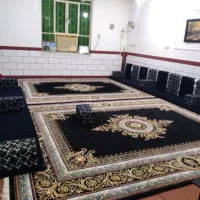 قالی نو نو برا فروش