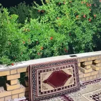 معاوضه-باغچه-چهار-دیواری-مبارک-آباد