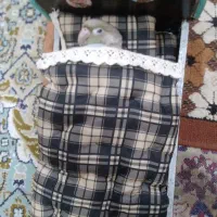 گرینچیک تراکویس پاین اپل