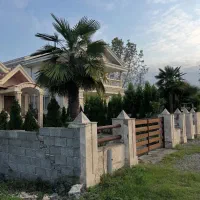 زمین شهرکی سند تک برگ کامل داخل بافت