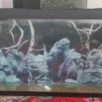 آکواریوم سالم