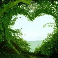 زمین روستای صدراباد