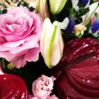 سبد گل|گل و گیاه طبیعی|تهران, شهرآرا|دیوار