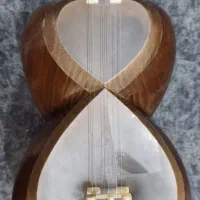 تار حرفه ای
