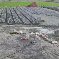 بلوک 20×40|مصالح و تجهیزات ساختمان|جیرفت, |دیوار