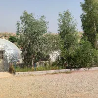 کلبه اسکیمویی اجاره ای شهیون