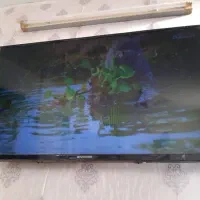 تلویزیون ۴۸اینچ نونو ایکس ویژن|تلویزیون و پروژکتور|مشهد, شهید معقول|دیوار