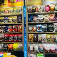 به یک صندوقدار خانم نیازمندیم