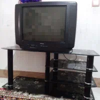 تلویزیون