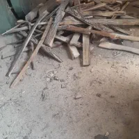چوب گردو