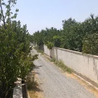 باغچه قاسم اباد بزرگ.فروش یامعاوضه|فروش زمین و ملک کلنگی|هشتگرد, قاسم آباد بزرگ|دیوار