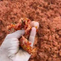 تفاله گوجه خوراک دام