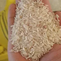 برنج طارم|خوردنی و آشامیدنی|یاسوج, |دیوار