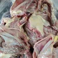 اسکلت مرغ مادر همراه بال و دمبالچه