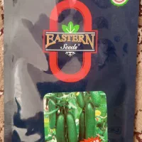 بذر خیار گلخانه ای|گل و گیاه طبیعی|کاشمر, |دیوار