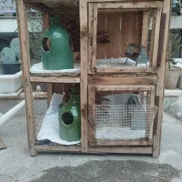 قفس کفتر