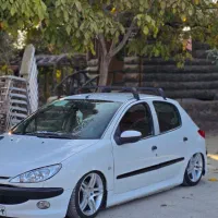 ۲۰۶ تیپ ۲ لوازمی|خودرو سواری و وانت|پاسارگاد, |دیوار