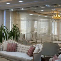 آینه کاری سگال