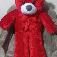 خرس پشمی  ولنتاین