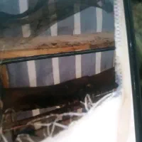 خانه مرغ وخروس|لوازم جانبی حیوانات|تربت‌حیدریه, شهرک ولیعصر|دیوار