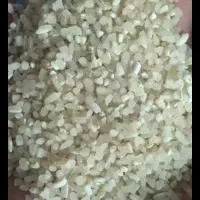 فروش ویژه برنج کامفیروزی|خوردنی و آشامیدنی|تهران, منیریه|دیوار