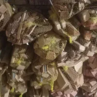 چوب هیزمی توری شده اماده|عمدهفروشی|اراک, |دیوار