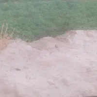 فروش زمین کشاورزی در لاور رزمی