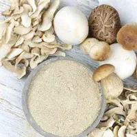 پودر قارچ دکمه‌ای باکیفیت و تنوع بسته‌بندی|خوردنی و آشامیدنی|پردیس, شهرک صنعتی خرمدشت فاز ۷|دیوار
