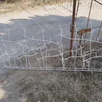 حفاظ شاخ گوزنی