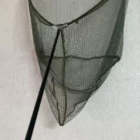 ماهیگیری کارپ