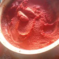 رب تازه خانگی مشگین شهر|خوردنی و آشامیدنی|مشگین شهر, |دیوار