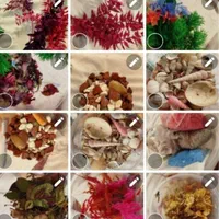 فروش وسایل رزین|صنایع دستی و سایر لوازم تزئینی|یاسوج, |دیوار