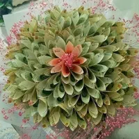 هدیه روز دختر جاودان|گل مصنوعی|ساوه, |دیوار