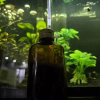 روغن سنتی ما‌سا‌ژ فرم‌دهی