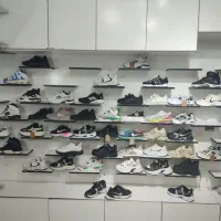 ویترین کفش فروشی همراه باکس