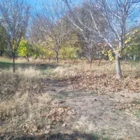 باغ در مرند