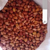 سنجدامساله خوش خوراک۱۳۰|عمده‌فروشی|بسطام, |دیوار