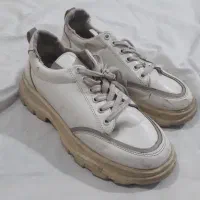 کفش|کیف، کفش، کمربند|پاکدشت, خاتون آباد|دیوار