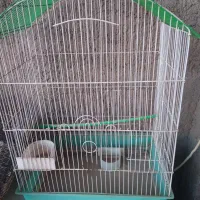 قفس پرنده|لوازم جانبی حیوانات|نیشابور, کوی یغما|دیوار