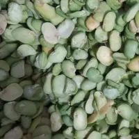 لپه باقالی تازه