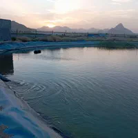 فروش باغ ه ویلایی ۱۰۰۰ متری ۱ خوابه در مبارکه|فروش خانه و ویلا|مبارکه, |دیوار