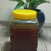 عسل گشنیز اورگانیک. عسل گون اورگانیک ۱دهم|خوردنی و آشامیدنی|نهاوند, |دیوار