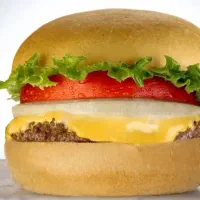 پیتزا زن .کانتر کار