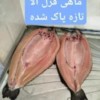 ماهی قزل الای پاک شده