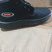 پخش کفش|کیف، کفش، کمربند|سنندج, |دیوار