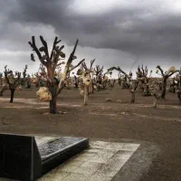 رفع مسائل ماورا و دفع غریبه