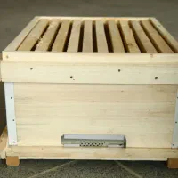 کندوی زنبور عسل