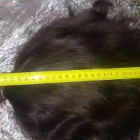 موی مشکی مایل به خرمایی